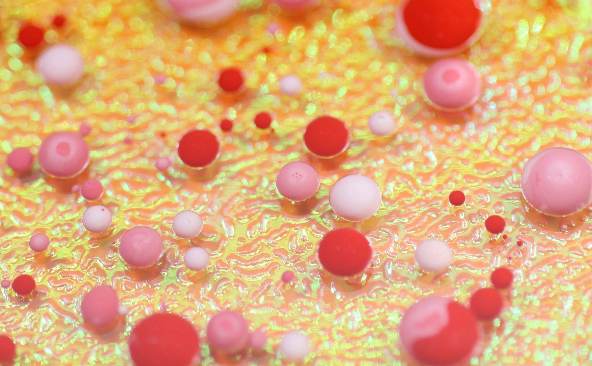 Good Cholesterol (Image via Unsplash/Flyd)